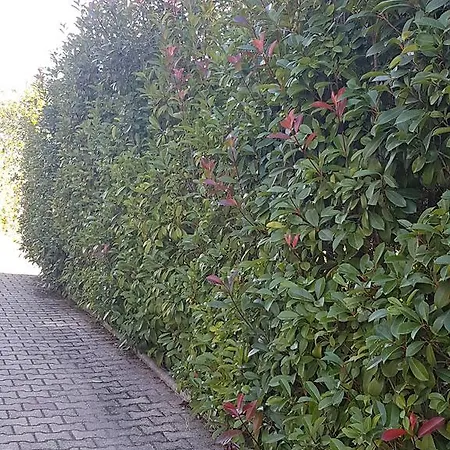 Hotel Il Baronetto 3*